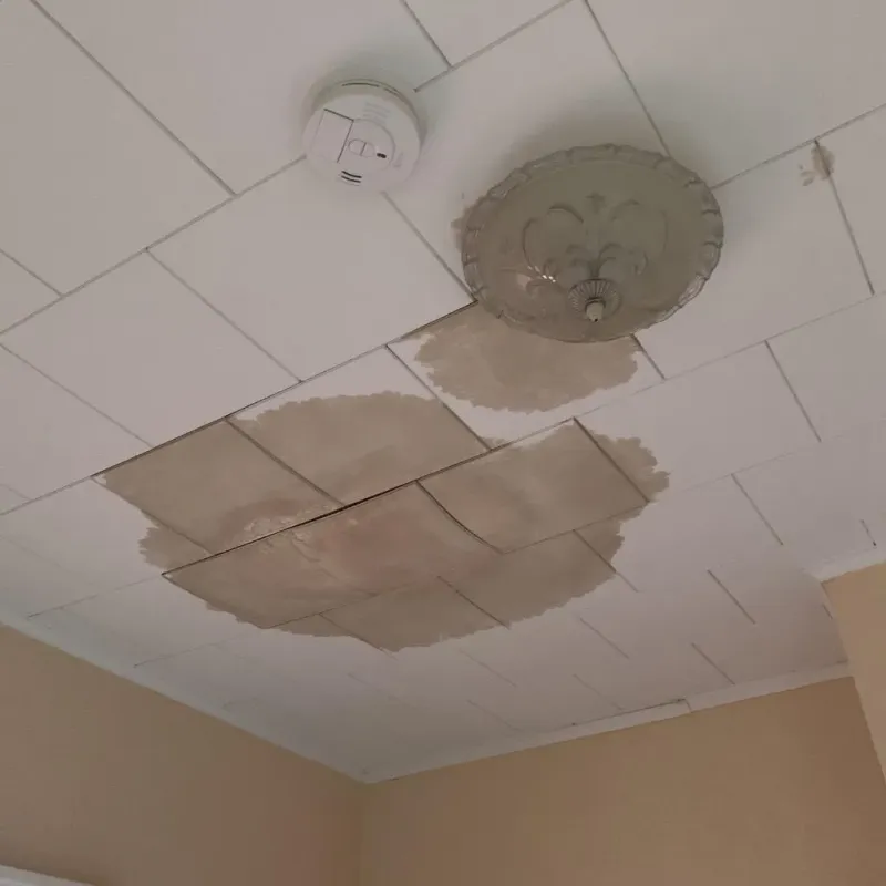 Ceiling Water Damage Repair in Steubenville, OH